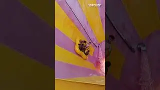 Epic Funnel Slide short