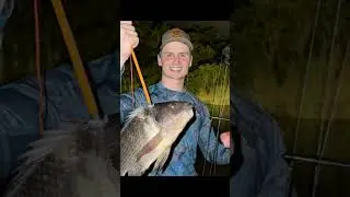FIRST Thoughts on MUZZY Bow!?