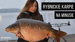 Rybnickie karpie na minusie - NLT.SKLEP.PL