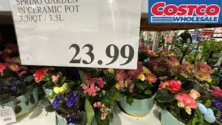 COSTCO FLOWERS, PLANTS EASTER
