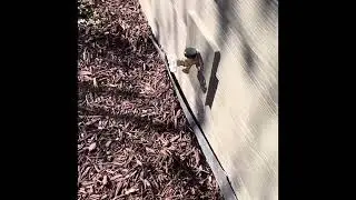 Possible Future Water Entry Issue-New Construction