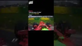 Driver mistake or Ferrari in the rain? | F1 Brazil 2013