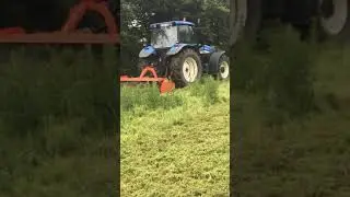 Mulching with a rinieri mulcher and a New Holland tm120