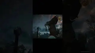 (2015) плотва что с тобой? #лол #bug #баги #rofl #shorts #witcher3