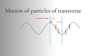 Understanding the motion of particles in waves