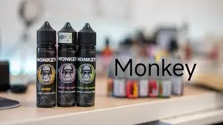 Nov&eacute; Monkey - dezerty pro každ&yacute; den 👏