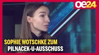 Sophie Wotschke zum Pilnacek-U-Ausschuss