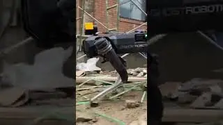 Ghost Robotics