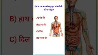 GK || Gk in Hindi || Gk Question ||Gk Quiz || Gk Question and Answer #gk #gkfacts #shorts #ytshorts