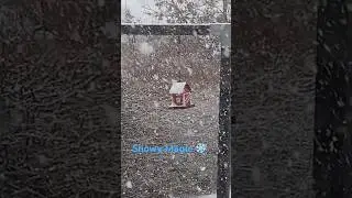 When Everything Turns White