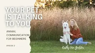 Animal communication for beginners #3 - Your Pet is Talking | Kathy Van Guilder Animal Communicator
