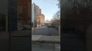 Street of Toronto #torontostreets #torontolife #toronto #traveling #shorts #shortvideo