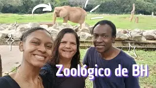 VLOG: Indo no Zoológico e Aquário São Francisco! 🐘