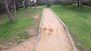 Athalassa National Park, Nicosia, Cyprus, Part 2