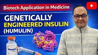 Genetically Engineered Insulin (Humulin) 🔥 | Class 12 Biotech Explained Simply