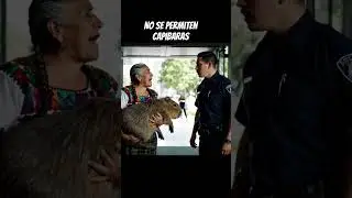 No la dejan entrar con su mascota. #capibara #humor #fyp