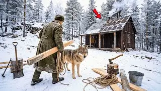 Ветеран и его волк — день, когда он заново отстроил родовой дом