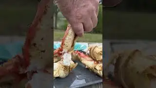 Part 3: Smoked King Crab 🫤 #seafood #kingcrab #crab