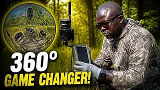 The Best 360 Trail Cameras for Every Budget