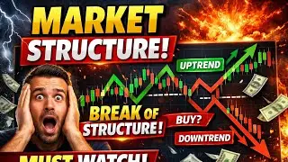 Market Structures Explained: Which One are You?
