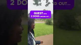 Pet Lesson
