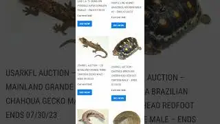 Support USARK FL at BSR AUCTIONS