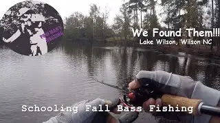Fall Bass Fishing 2020 at Lake Wilson (Catching Schooling Bass)