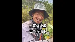 二哥刨地瓜，三哥就负责把地瓜背出去#农村生活 #刨地瓜#记录真实生活 #干农活 @DOU+小助手 @生活服务热点中心 @DOU+上热门