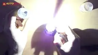 Ксеноновая лампа PROLIGHT D2S/D2R 8000K 35W