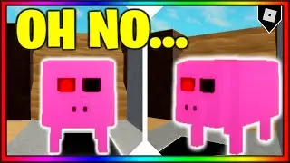 How to get the 
