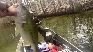 Lake Townsend Fishing ... He caught more but I caught the biggest!