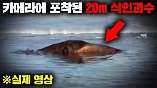1,000년전 과거부터 목격되어 오던 전설 속 괴생명체가 동영상으로 촬영된 충격적인 사건 '반 호수의 괴물' [미스터리]