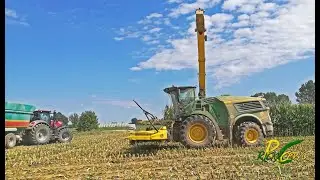 John Deere 9900i Corn Harvesting | DEMO TOUR 2019