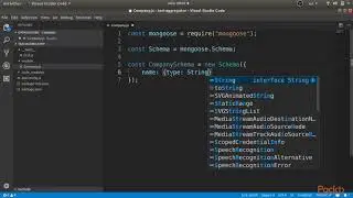 Hands-On Developers Guide to MongoDB 4.0:   Company Schema Design | packtpub.com
