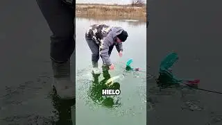 &iexcl;Pesca Extrema! As&iacute; se Pesca en un R&iacute;o CONGELADO 🐟❄️ #shorts