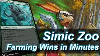 Is Simic the Best Home for Zoo