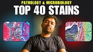 Top 40 Laboratory Stains Explained | Special Stains Pathology