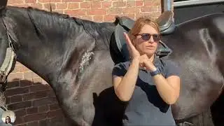 Reconnaître si sa selle est adaptée à son cheval