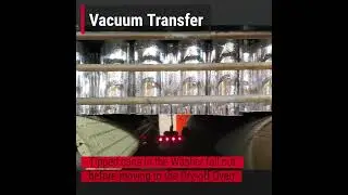 Vacuum Transfer