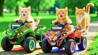 Mama Cat Trims Fur on the Farm and Makes Tiger Hat For Kittens At Home🐾🎩🐯