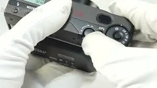 CONTAX (コンタックス) T3 D 並品