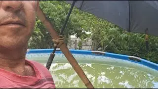 Vanderlei Araujo está ao vivo!