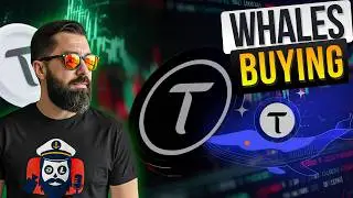 TAO Supply Control Increased - Good Or Bad For Holders?