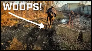 The Best Ratz Cuts