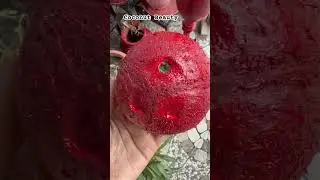 From coconut shell to chic red pot 🌺✨ #coconutcraft #ecodecor #diyplanters #homegarden #gardening