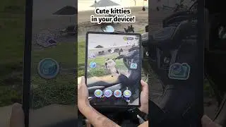 My Cat | Adventures of a Cute Kitty in the Sea!