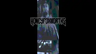 Honeyfoxnorth5 - Low Life Escape Plan (Synthwave) Live Arrangement Session Video.