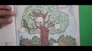 Class LKG, Subject English, Page No   41, Topic Back Exercise