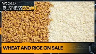 Grain crisis: Adjusting the price sale | World Business Watch