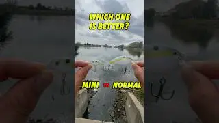 Мини и обычные воблеры